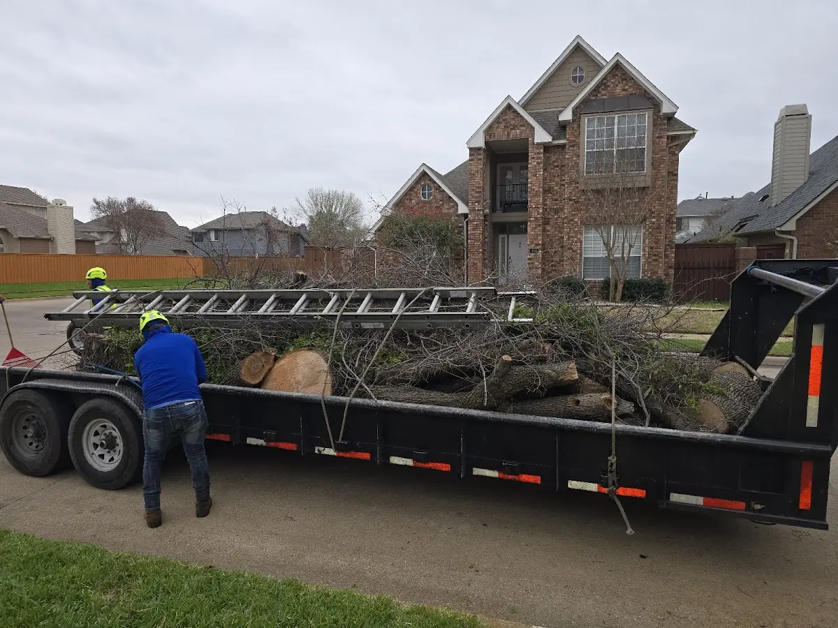 Expert Tree Pest Control with proper safety equipment in Bryceville